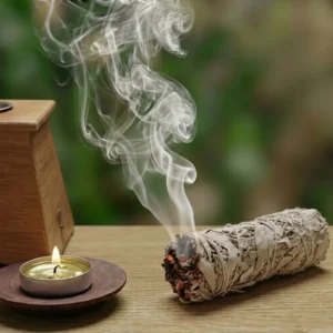 Armonizador Raíz Sagrada De Mandrágora (El Ancla de Poder)