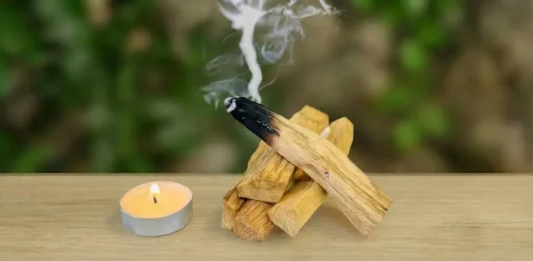 humo-palo-santo-para-armonizar-espacios.jpg Trozos de Palo Santo Sagrado 'La Madera de la Dulzura' de El Camino del Jaguar, ideal para atraer la armonía.