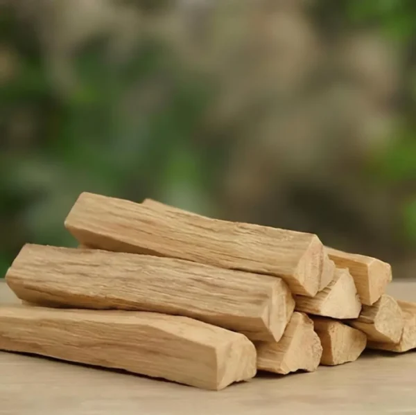 Palo Santo Sagrado (La Madera de la Dulzura)
